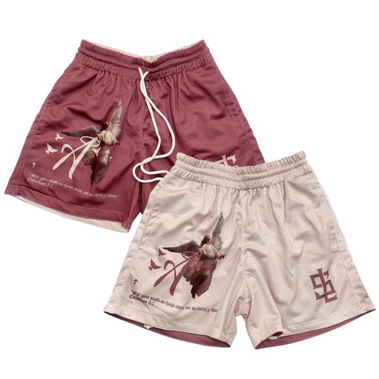 Discover Reversible Mesh Shorts 4" - Angel (Pink/Cream)