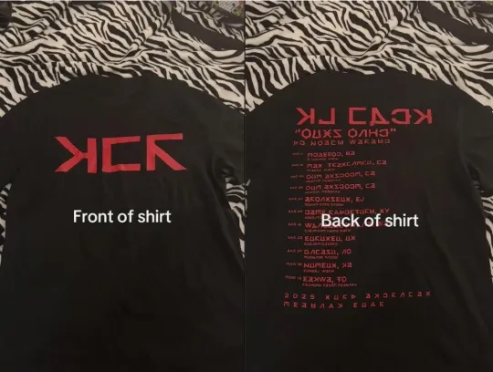 Discover My Chemical Romance The Black Parade Tour LA merch 2025 T-Shirt