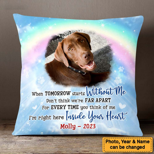 Discover Pet Memorial Gift When Tomorrow Starts Without Me Rainbow Bridge Upload Photo Pillow