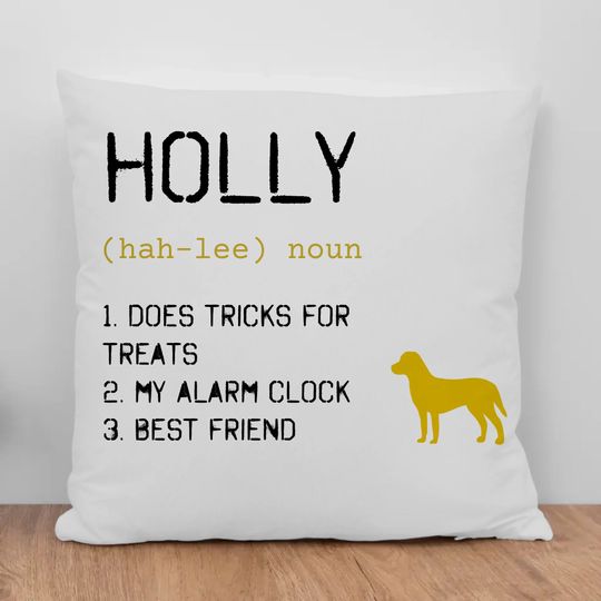 Discover Definition of my dog - Personalized Pillow