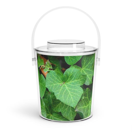 Discover Ivy  Ice Bucket with Tongs