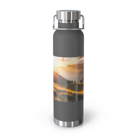 Discover Copper Vacuum Insulated Bottle, 22oz