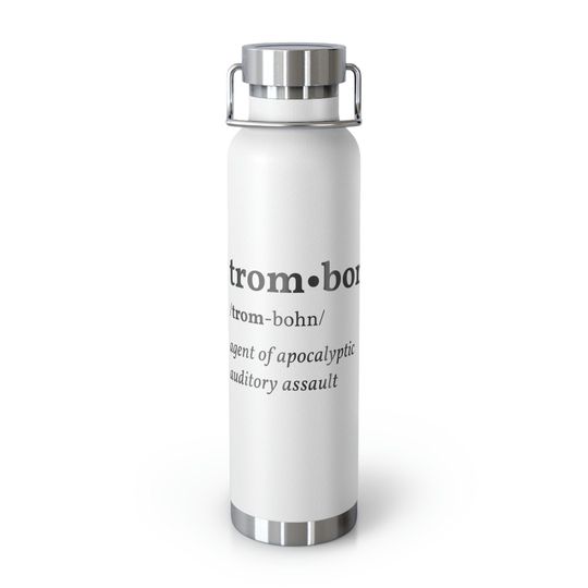 Discover Copper Vacuum Insulated Bottle, 22oz