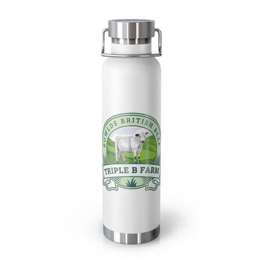 Discover Copper Vacuum Insulated Bottle, 22oz