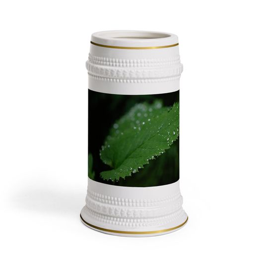 Discover Stein Mug