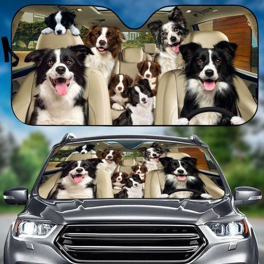 Discover Border Collie Dog Car Sunshade, Border Collie Driving Car Windshield, Dog Owner Auto Sunshade, Dog Lover Sun Visor Car, Car Decoration
