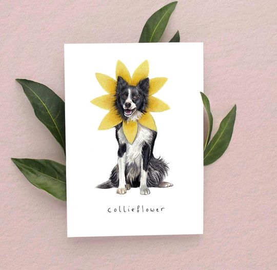 Discover Collieflower Card, Border Collie Card, Funny Cards, Birthday Cards, Dog Cards