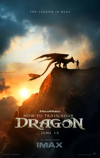 Discover 2025 Promo Film Poster Print “How to Train Your Dragon