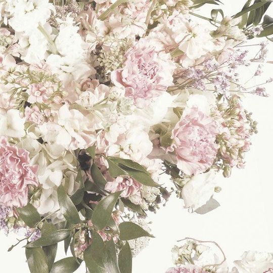 Discover VICTORIAN FLORAL 232 In Stock Tissue Sheets gift wrap craft supply retail flower painting peony roses vintage wedding engage Spring romance