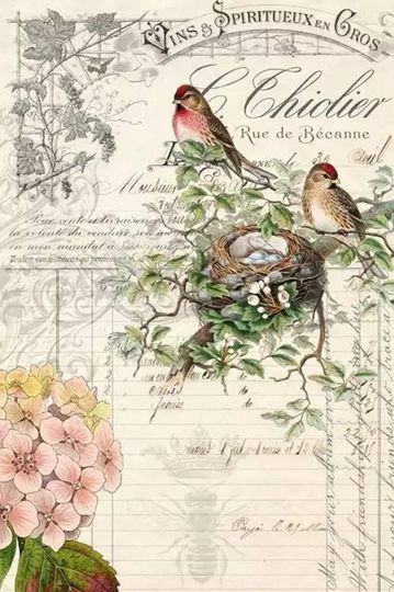 Discover ROYCYCLED Decoupage Paper, Bird Ephemera Tissue Paper