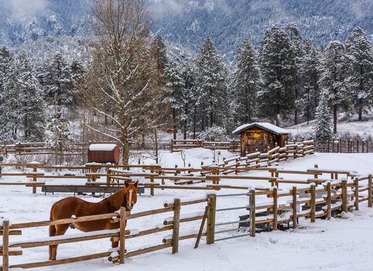 Discover Horse on Coral Decoupage Tissue, Winter Barn Snow Barn  Tissue Paper