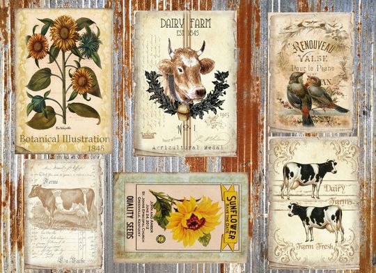 Discover Large Format Sunflowers, Cows Galvanized , Deborah Bucher Designs, Tissue Paper Decoupage,  Deb 98  Flower  Vintage Label  Farm Country Bird
