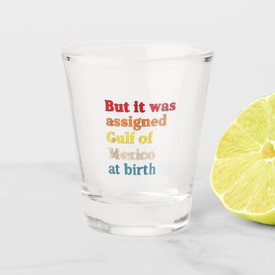 Discover But It Was Assigned Gulf of Mexico at Birth Shot Glass