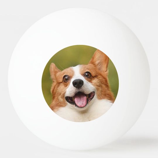 Discover Add Dog Photo Personalized Customized Ping Pong Ball