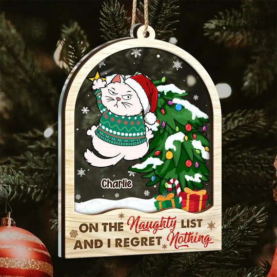 Discover          Is This Jolly Enough - Personalized 2-Layered Mix Ornament       