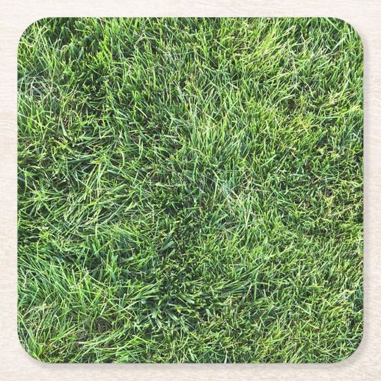 Discover Funny green grass real photo texture pattern fun square paper coaster
