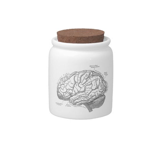 Discover Vintage Brain Anatomy Candy Jar