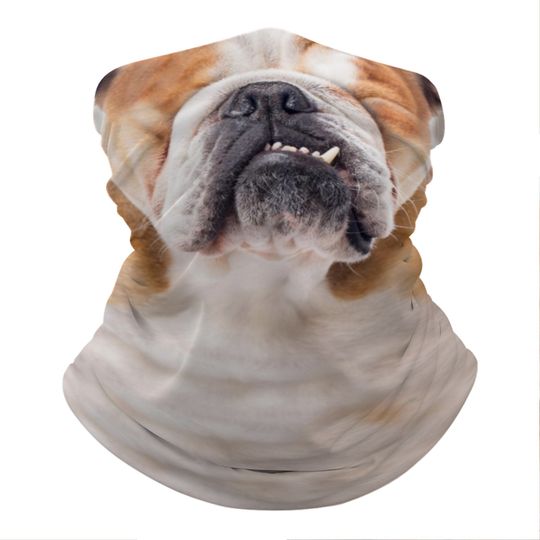 Discover Bulldog Lightweight Neck Gaiter, Face Mask Scarves