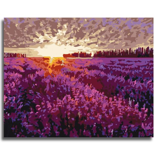 Discover The Lavander Filed Paint by Numbers Colorful Oil Painting Abstract 16x20 Framed DIY Paint by Numbers Kit for Adults Beginners