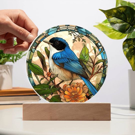 Discover Fairy Wren Stained Glass Look Acrylic Plaque | Blue Bird Lover Gift | Motivation GIft | Indoor Decor Bluebird Suncatcher