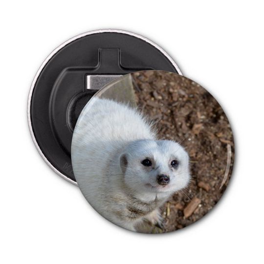 Discover White_Meerkat Looking, Magnetic Bottle Opener