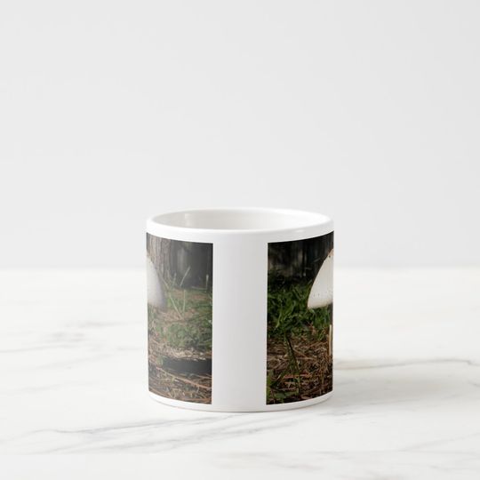 Discover Shroom 0659 Espresso Mug
