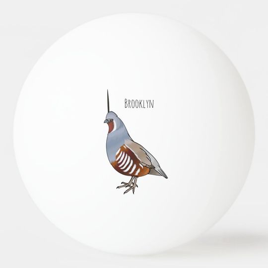 Discover Mountain quail bird cartoon illustration ping pong ball