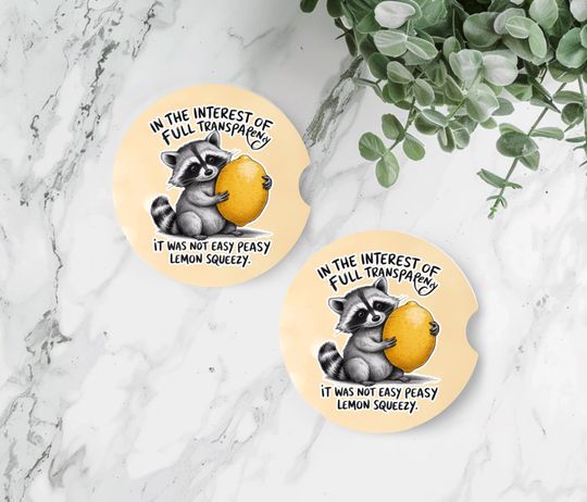 Discover Raccoon Funny Car Coaster, Sandstone Car Coasters, Funny Car Accessories