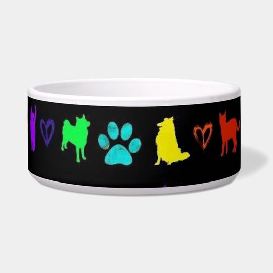 Discover Rainbow Pets  pet bowl
