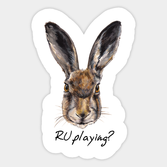 Discover RABBITS "R U playing?" - Rabbits - Sticker