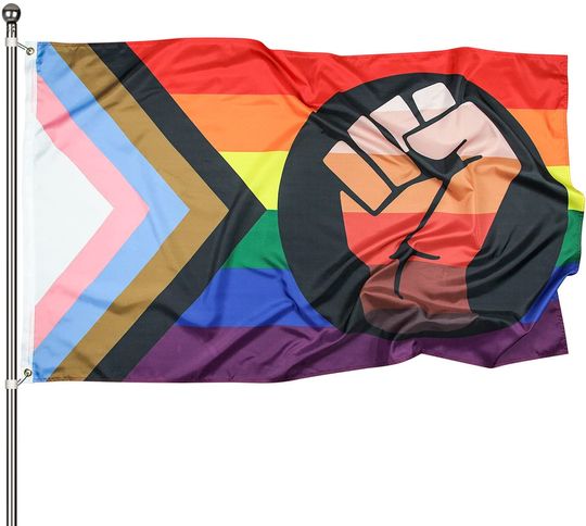 Discover Fist Progress Pride Flag Rainbow