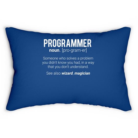 Discover Programmer Meaning Programmer Noun Defintion Lumbar Pillow