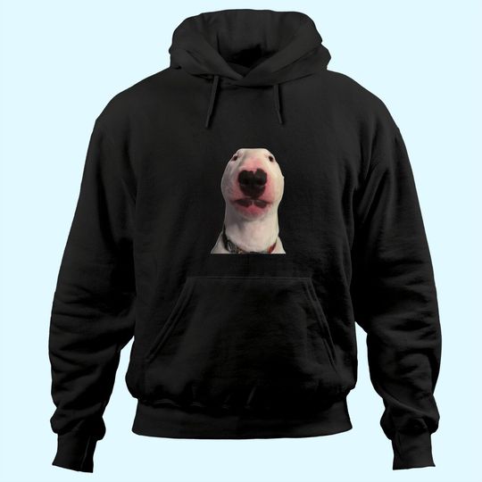 Discover Walter dog Hoodie Meme Hoodie