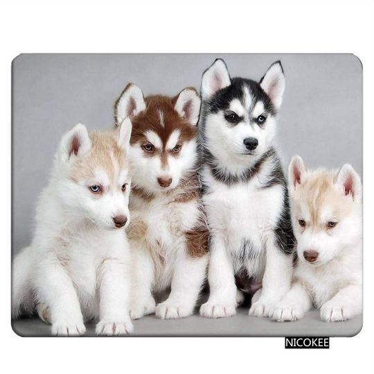 Husky Fofo | Mouse Pad para Jogos, Computador, Laptop