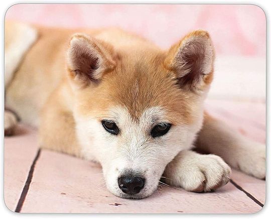 Mouse Pads Shiba Inu Cachorro