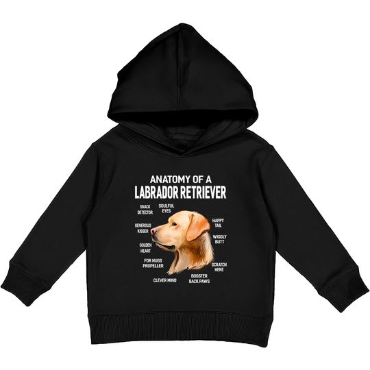 Discover Anatomy Of A Labrador Retriever Dog Kids Pullover Hoodie