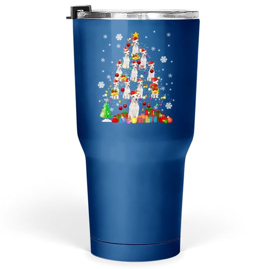 Discover Christmas Red Tumbler 30 Oz