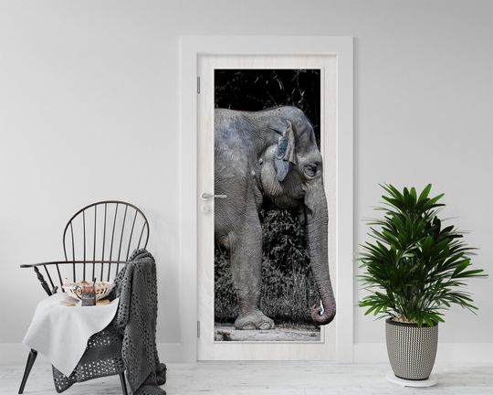 Discover Elephant 3D Door Wall Sticker