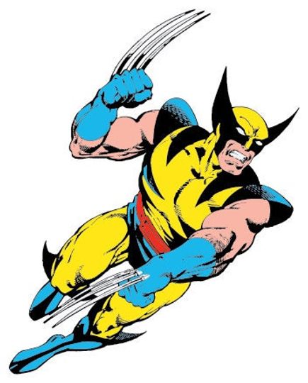 Discover Wolverine Car and  Vinyl Decal / Sticker 10 Sizes