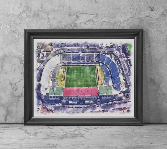 Discover ACF Fiorentina - Stadio Artemio Franchi Stadium Watercolor Art Poster