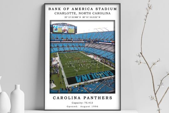 Discover Bank Of America Stadium Poster