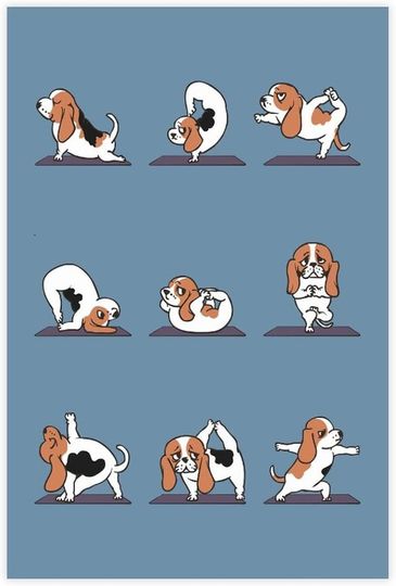 Discover Basset Hound Poster cartoon