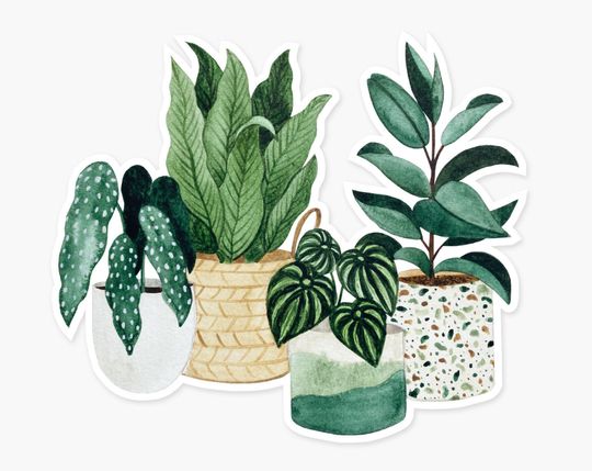 Discover Potted Plants Clear Sticker | Plant Lover Sticker