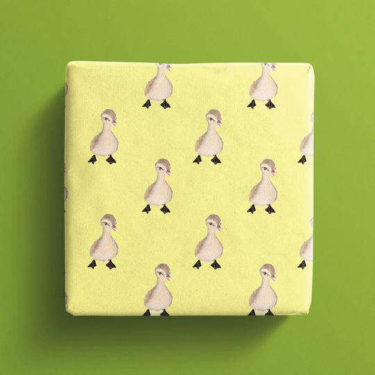 Discover Duckling Gift Wrap, New Baby Gift Wrap