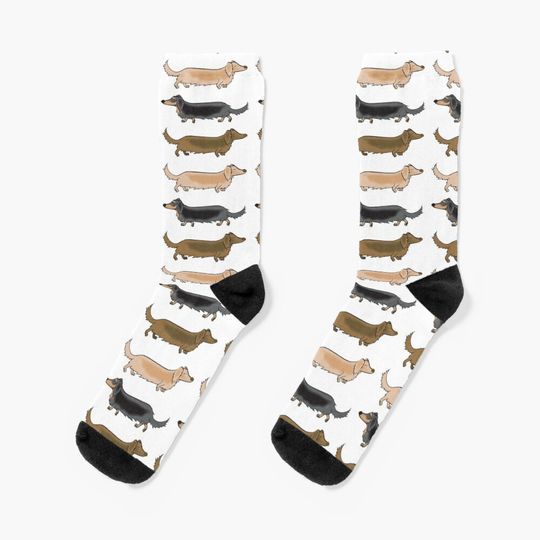Discover Long Haired Dachshunds off for a trot Socks