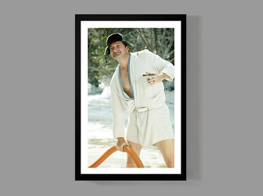 Discover Christmas Vacation Movie Poster, Cousin Eddie Print, Funny Bathroom Poster