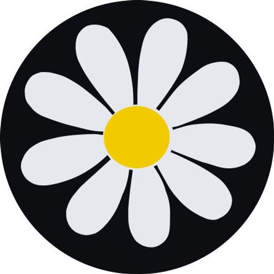 Discover Daisy Spare Tire Covers