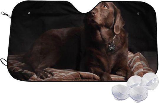 Discover Brown Labrador Retriever Printed Car Windshield Sun Shade