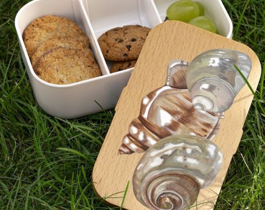 Discover Seashell Bento Box, Lunch Box, Snack Box