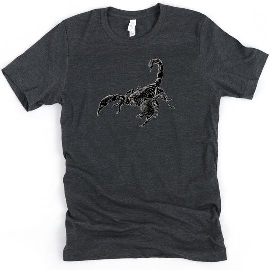 Discover Scorpion Shirt  / Scorpion / Scorpions Shirt / Scorpion T-Shirt